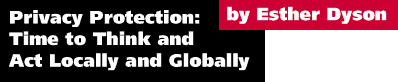 Privacy Protection: Time to Think and Act Locally and Globally by Esther Dyson