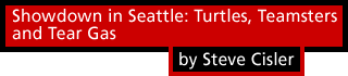 Showdown in Seattle: Turtles, Teamsters and Tear Gas