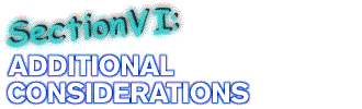 Section VI: Additional Considerations