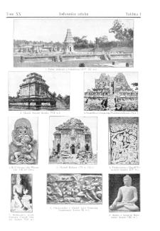 Wielka ilustrowana encyklopedja powszechna T. 20 (uzupełniający), H-Ż Tablice T20