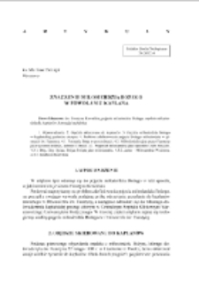 Znaczenie miłosierdzia w powołaniu kapłana