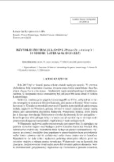 Rzymskie inspiracje kanonu 39 (Saepe coningit) IV Soboru Laterańskiego (1215)