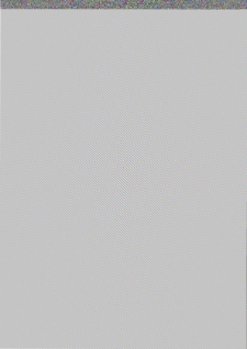 Widoki, pismo społeczno-kulturalne 4/1995