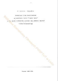 Piękna twarz (scenariusz)