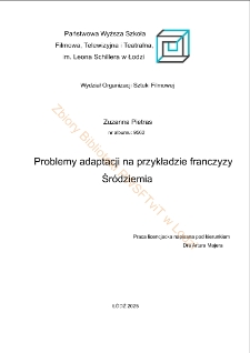 Problemy adaptacji na przykładzie franczyzy Śr&oacute;dziemia